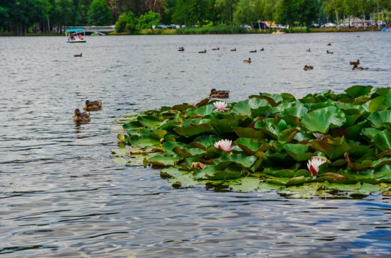 Друскининкай, Литва, Lietuva, Lithuania, Druskininkai, путешествия, что посмотреть в Друскининкае