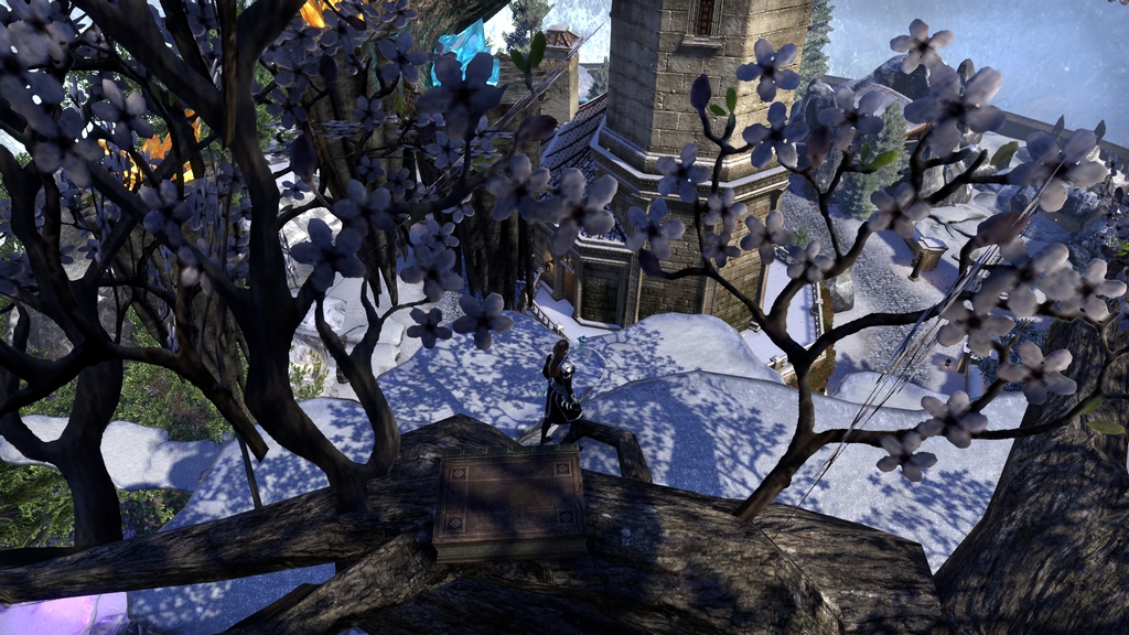 ehosevera, The elder scrolls online, veyalitsa